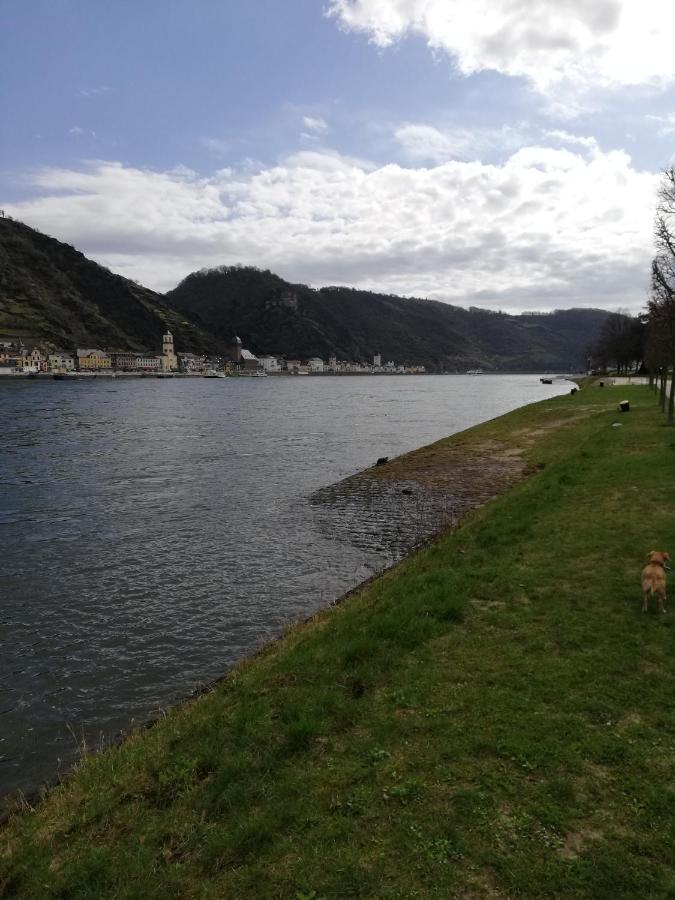 Panorama-Rheinblick St. Goar Apartment Sankt Goar Exterior photo